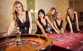 bet317 net