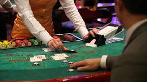 bet317 net